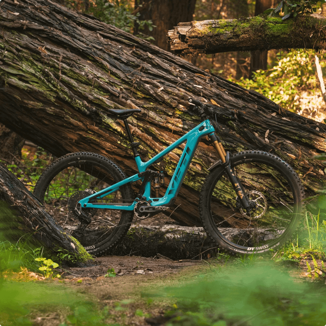 Turkos heladämpad mountainbike från Yeti Cycles med DT Swiss-hjul på en skogsstig med jordunderlag